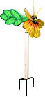 Whirliflowers